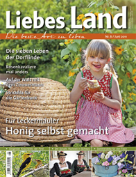 LiebesLand_Front LiebesLand_Front